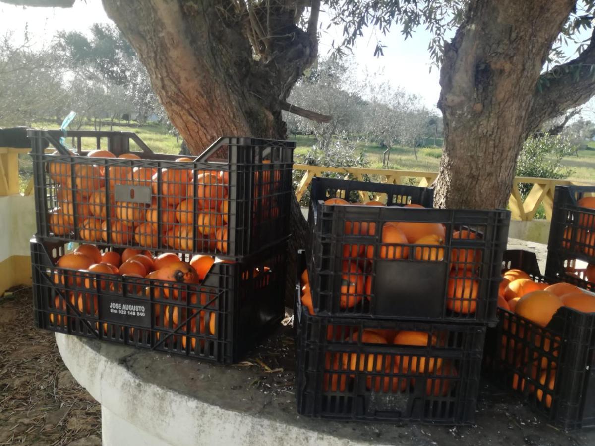 Willa Montinho Do Palanque Viana do Alentejo Zewnętrze zdjęcie