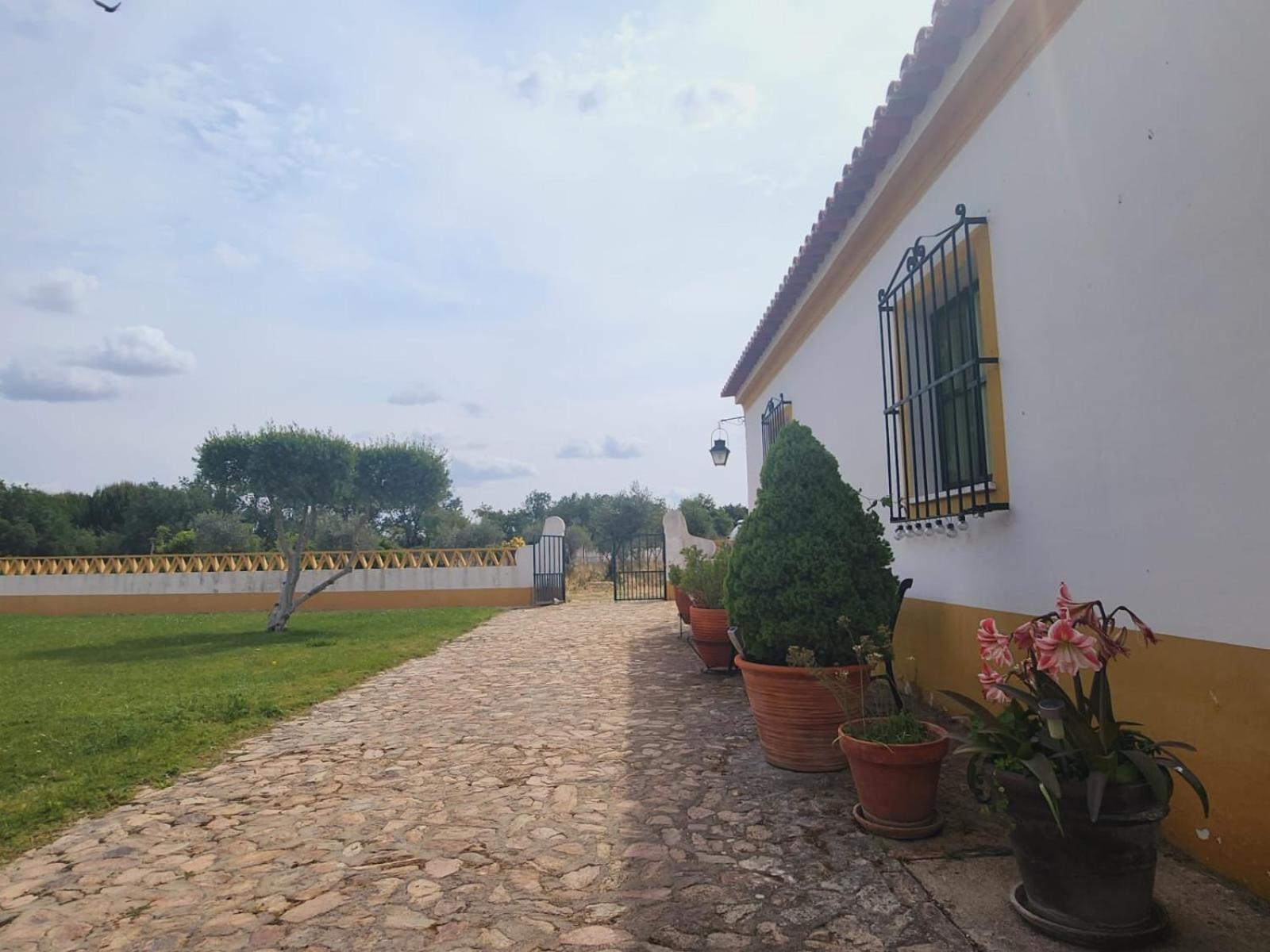 Willa Montinho Do Palanque Viana do Alentejo Zewnętrze zdjęcie