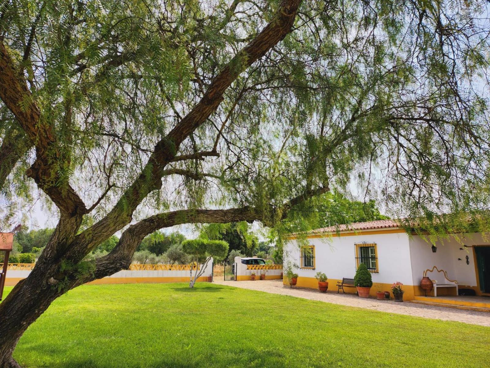 Willa Montinho Do Palanque Viana do Alentejo Zewnętrze zdjęcie