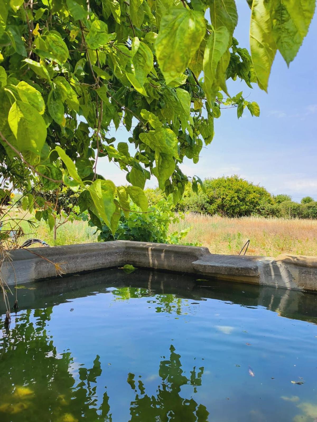 Willa Montinho Do Palanque Viana do Alentejo Zewnętrze zdjęcie