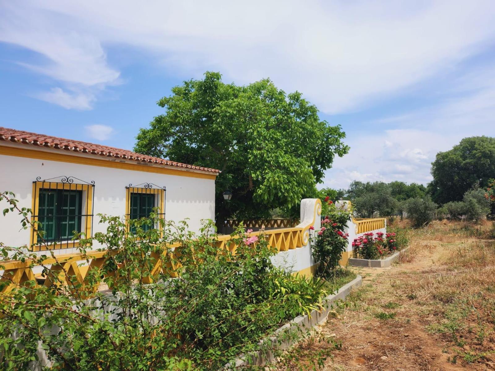 Willa Montinho Do Palanque Viana do Alentejo Zewnętrze zdjęcie
